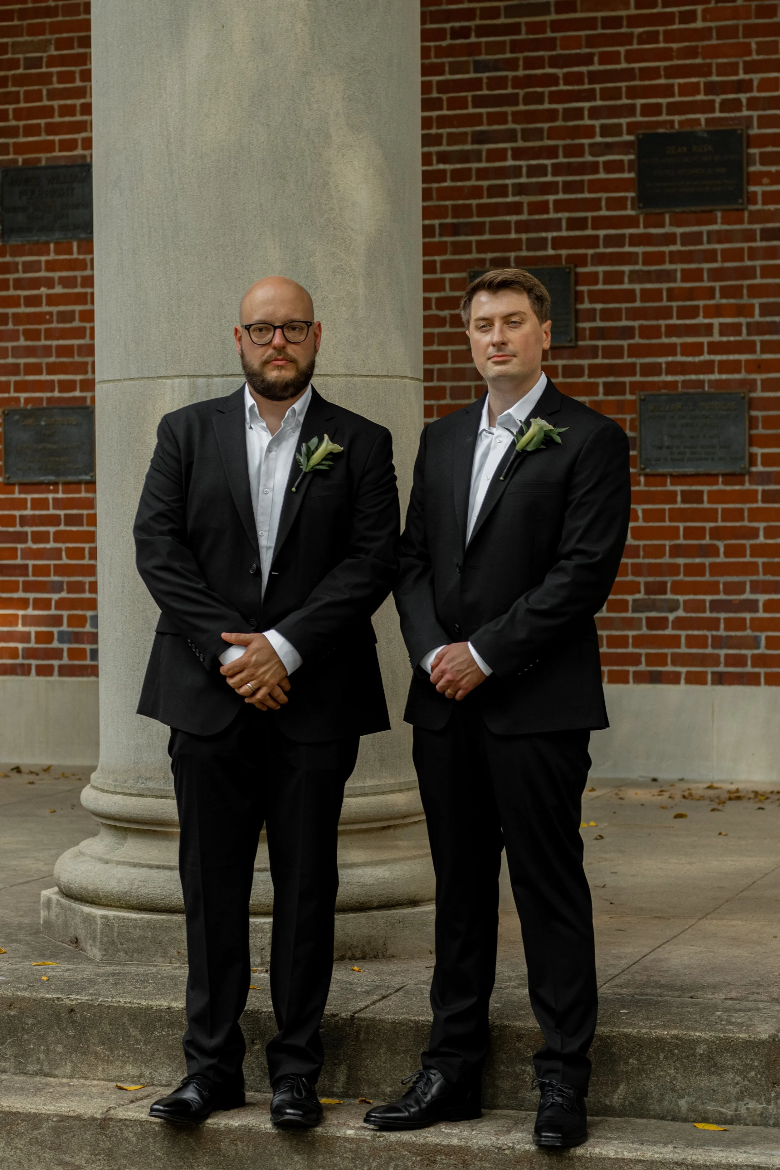 Havels-D-177.jpg