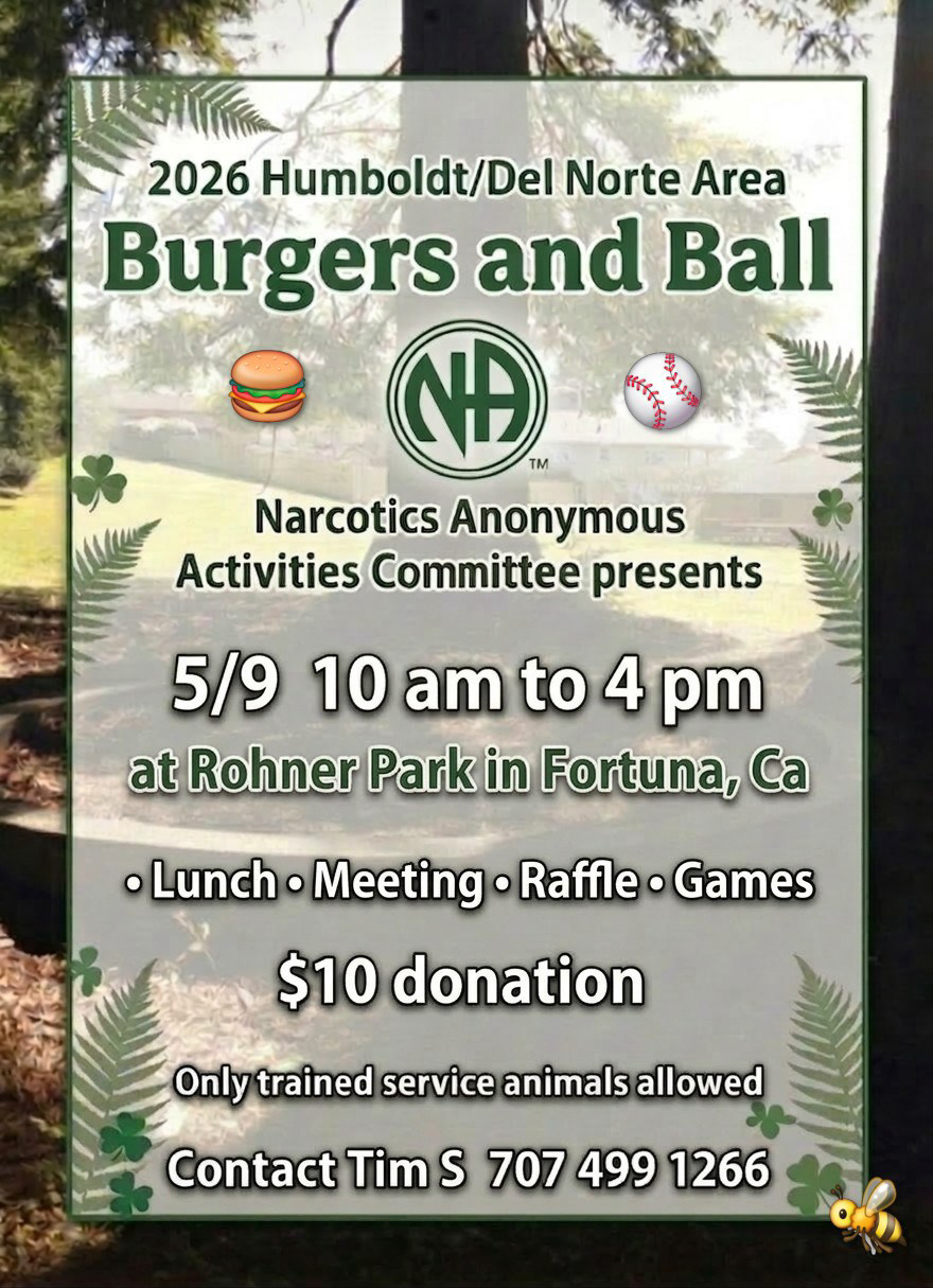 Burgers and Ball