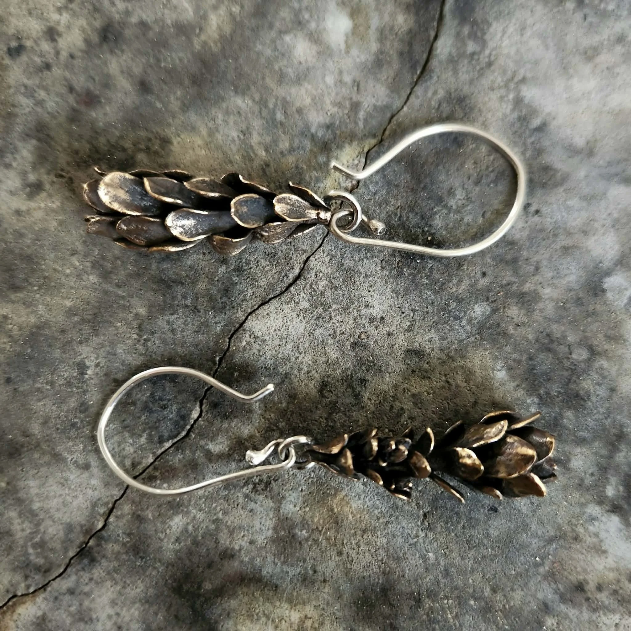 Pimelia earrins (large)