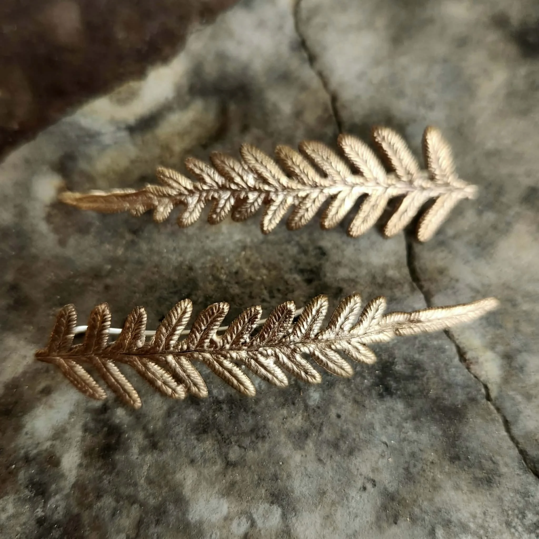 Bracken fern hook earrings (med)