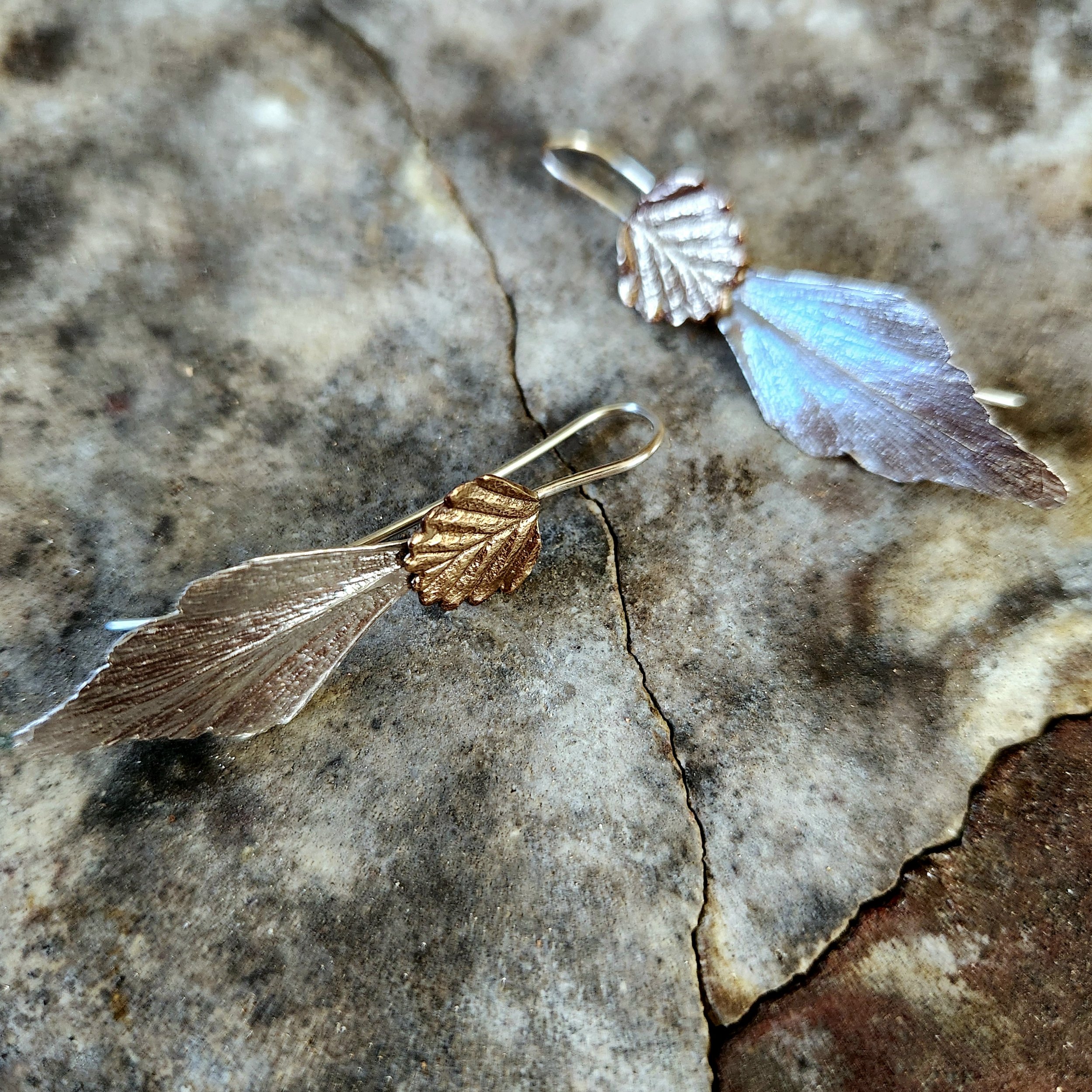 Fagus and celery top pine  drop earrings