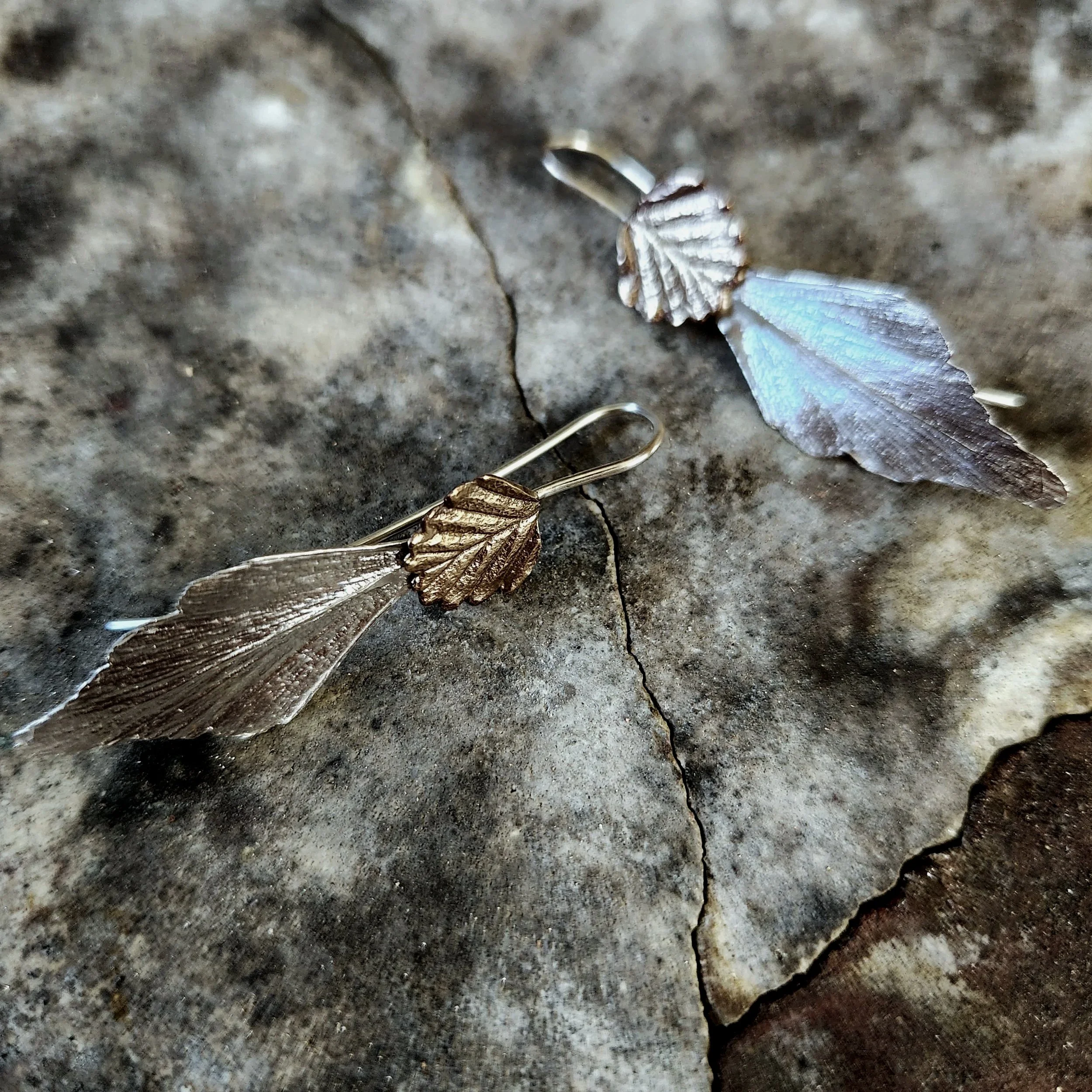 CTP+and+fagus+earrings.jpg