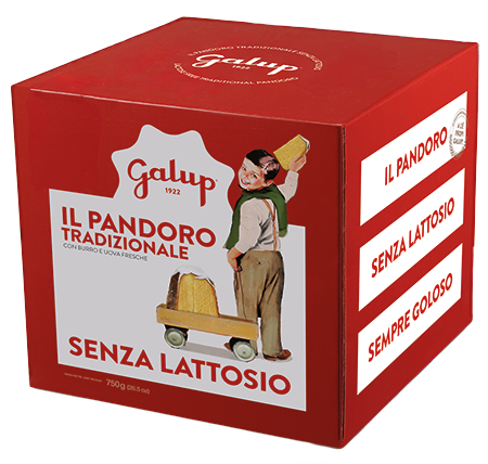 panettone pastificiodalory antwerpen hopland meir restaurant lunch