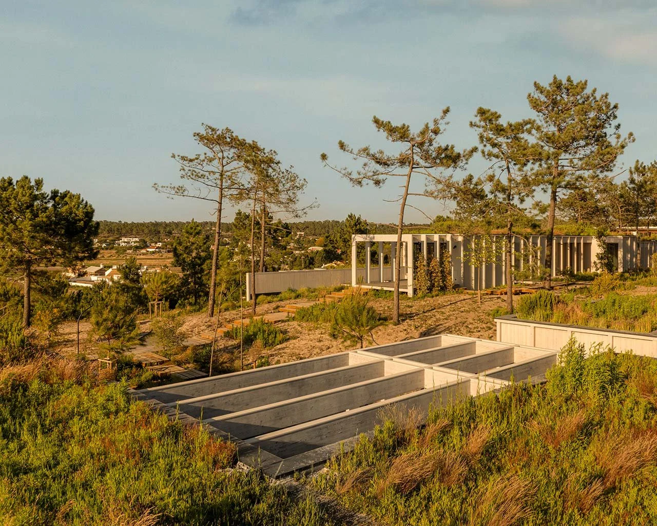 Building Bonds: Architecture’s Role in Community