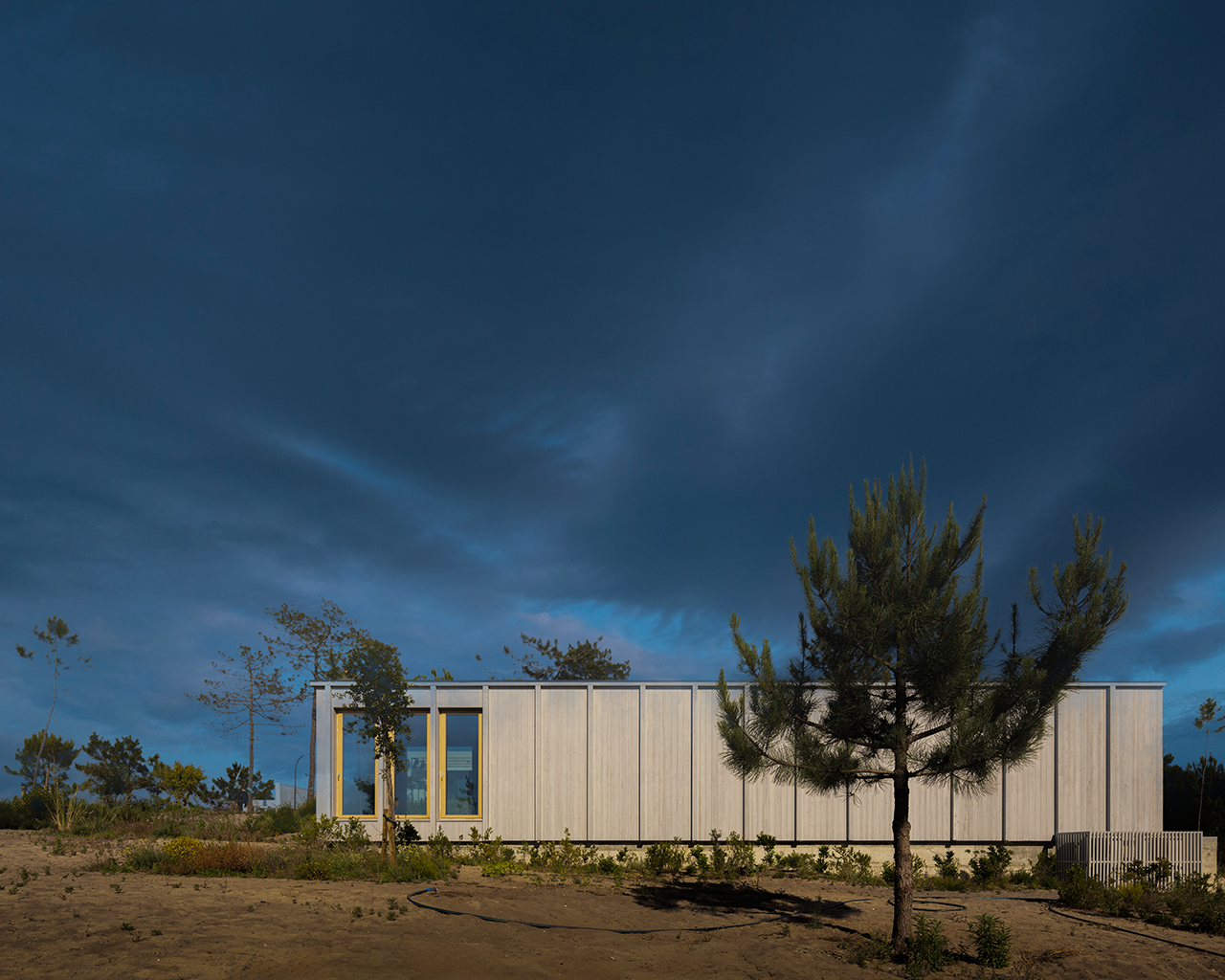 Love Grows Here: Spaces for Connection