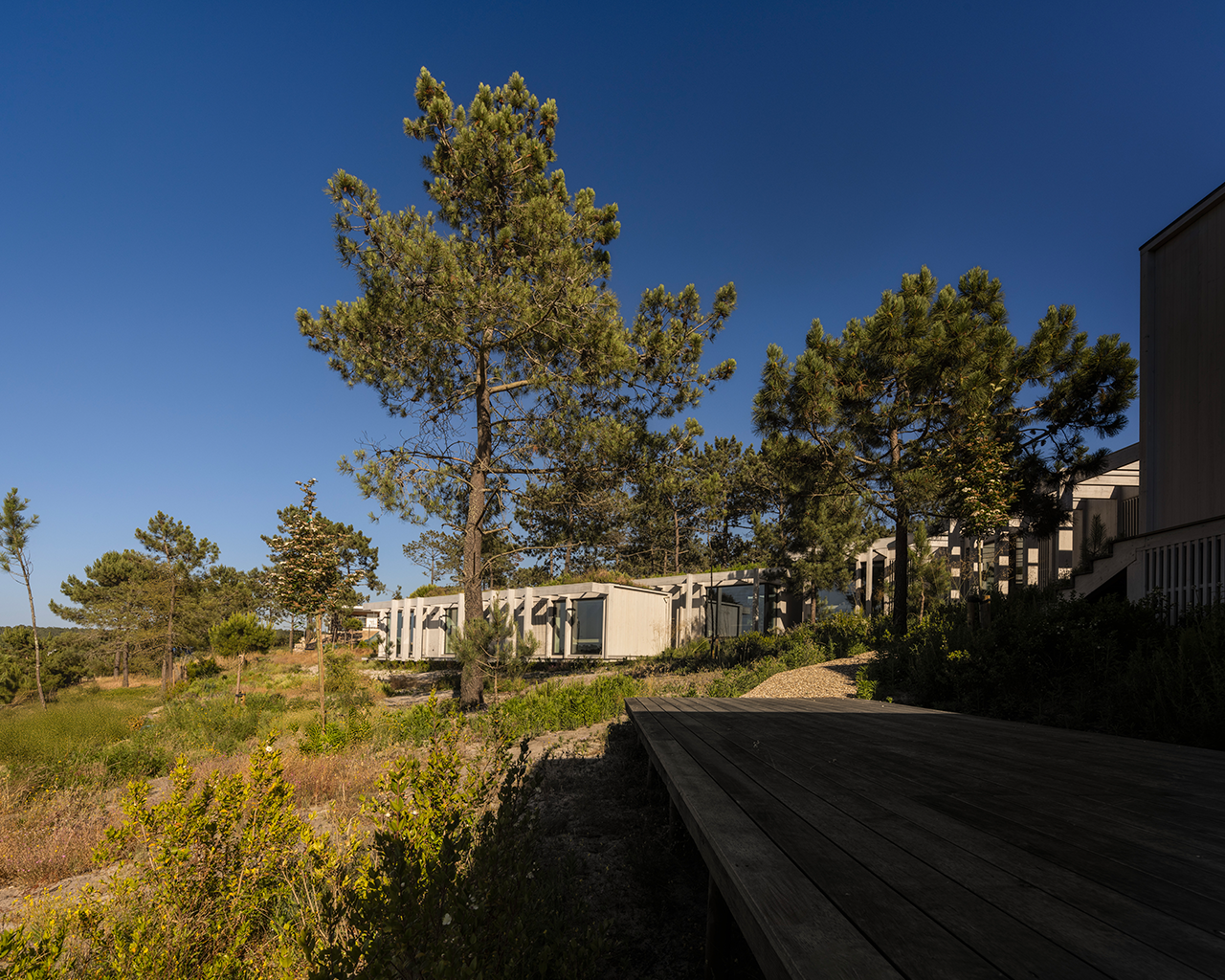 Designing for Generations: Flexible Spaces for Evolving Family Needs