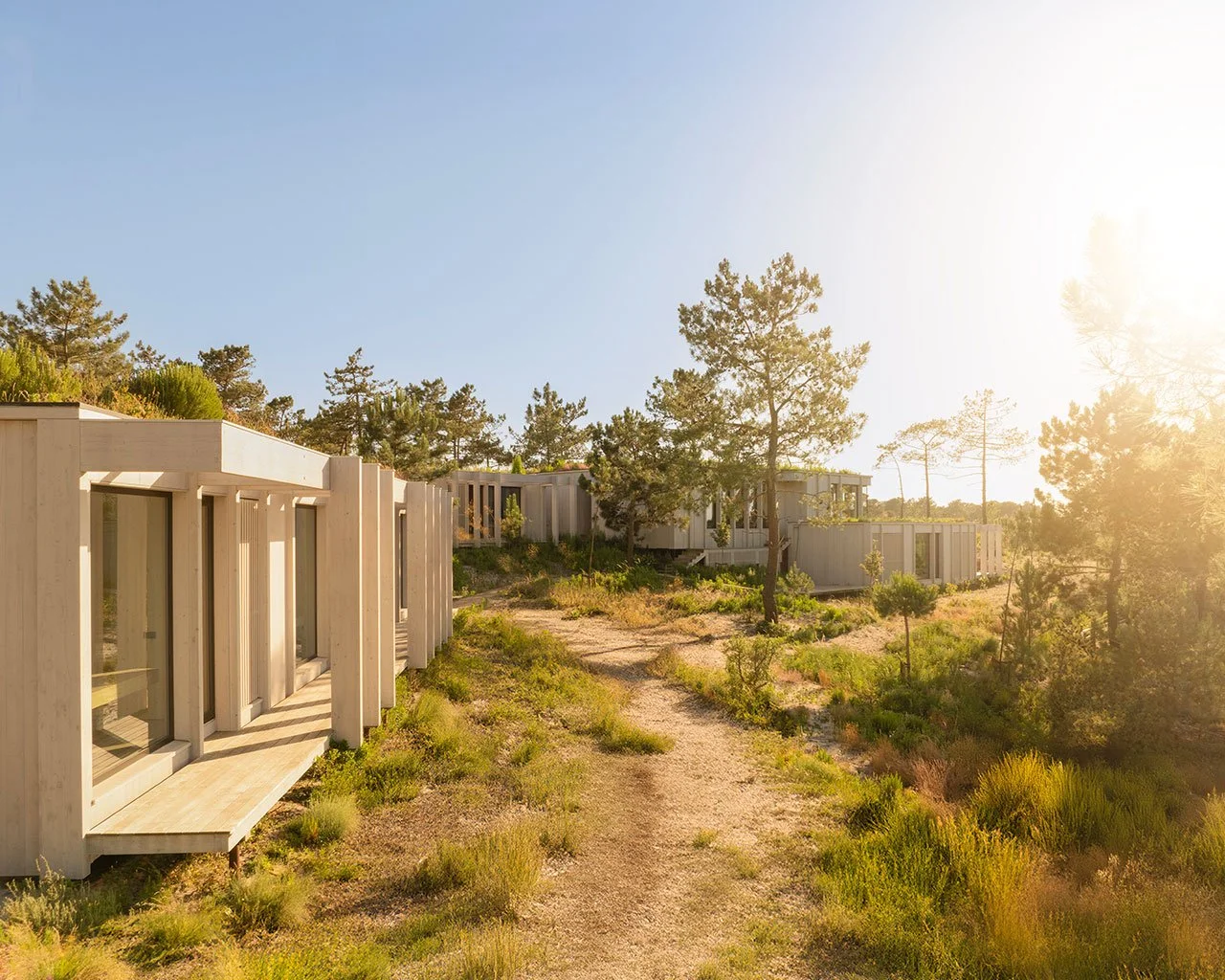 The Unique Nature of CLT Homes