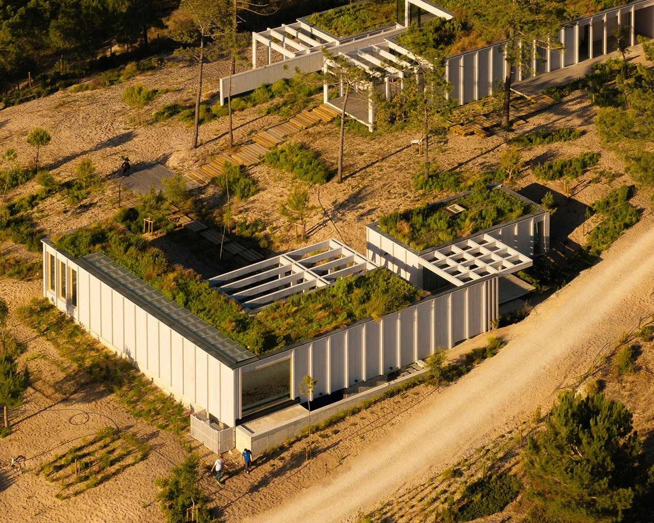 Portuguese Native Woods in CLT Construction: A Living Legacy