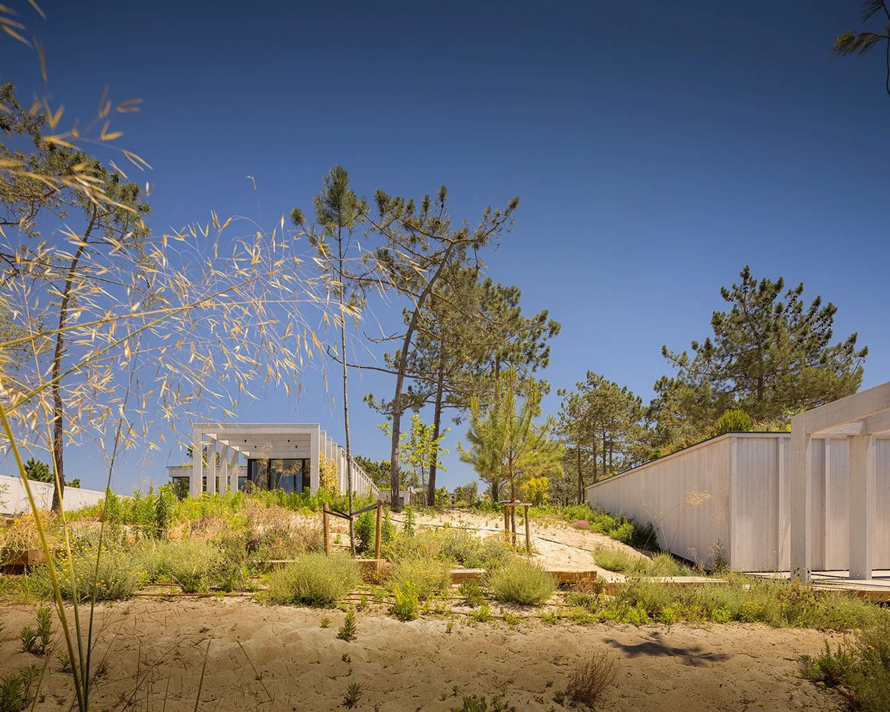 The Language of Silence: How CLT Homes Create Sanctuaries of Tranquillity