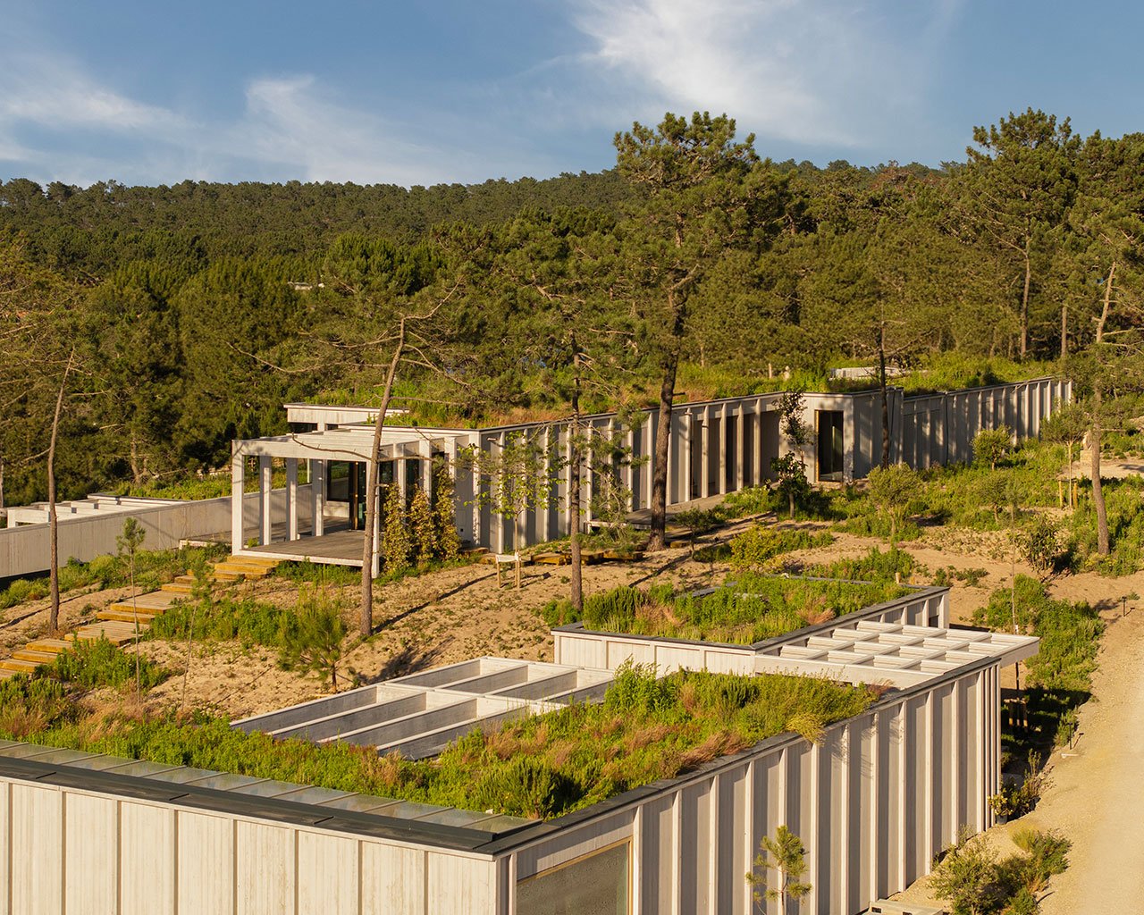 Beyond Four Walls: The Role of Community Spaces in Sustainable CLT Housing