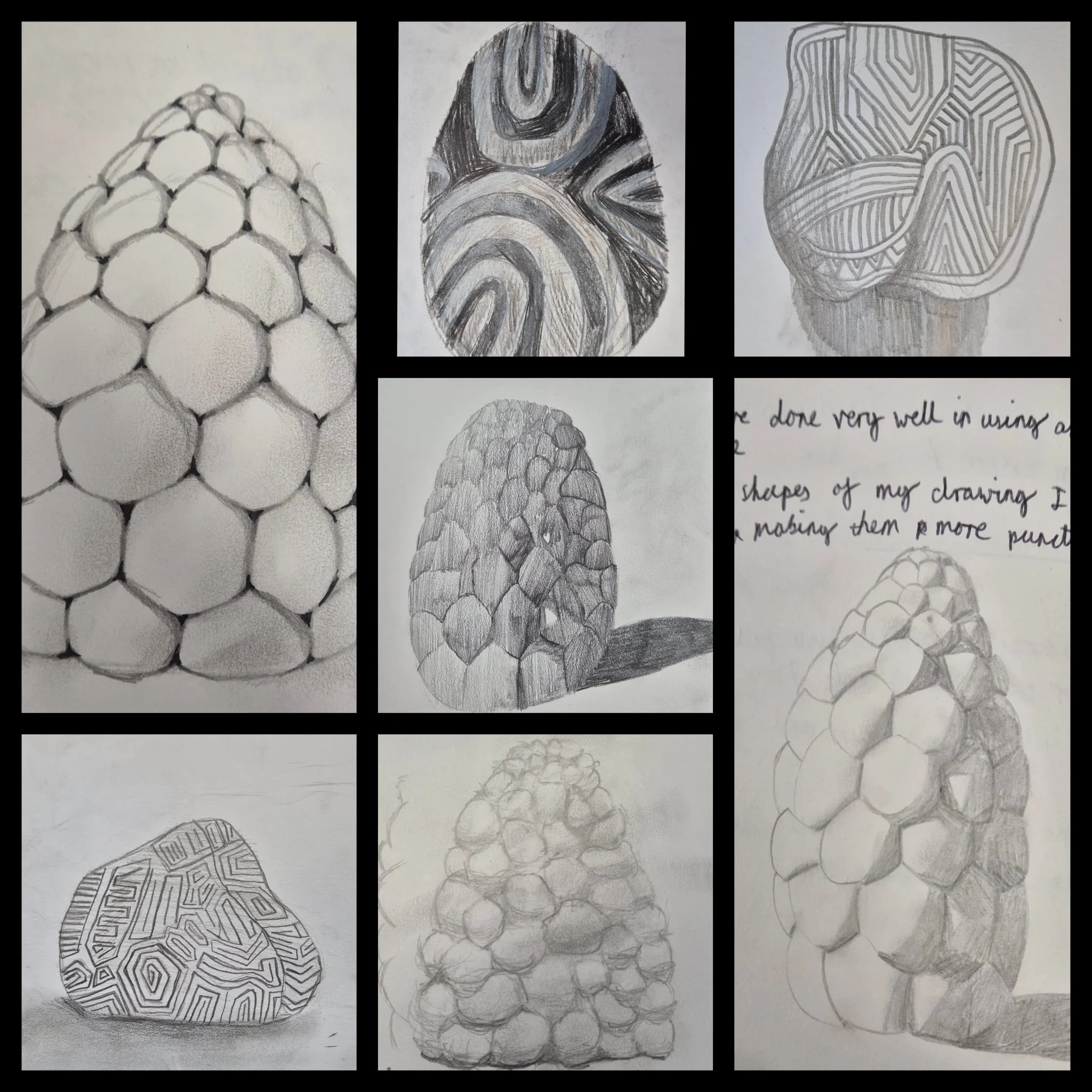 Year 7 homeworks.jpeg