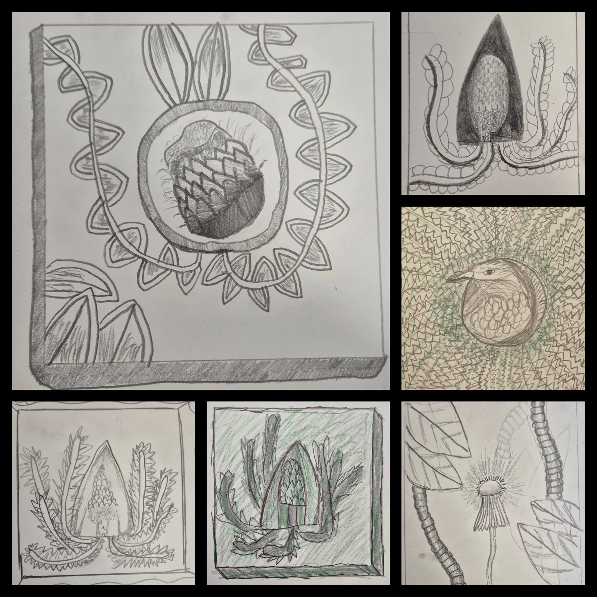 Year 7 Jane du Rand tiles.jpeg