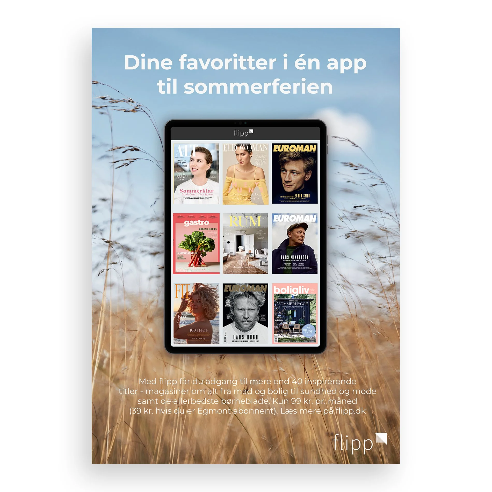 flipp_annonce2.jpg