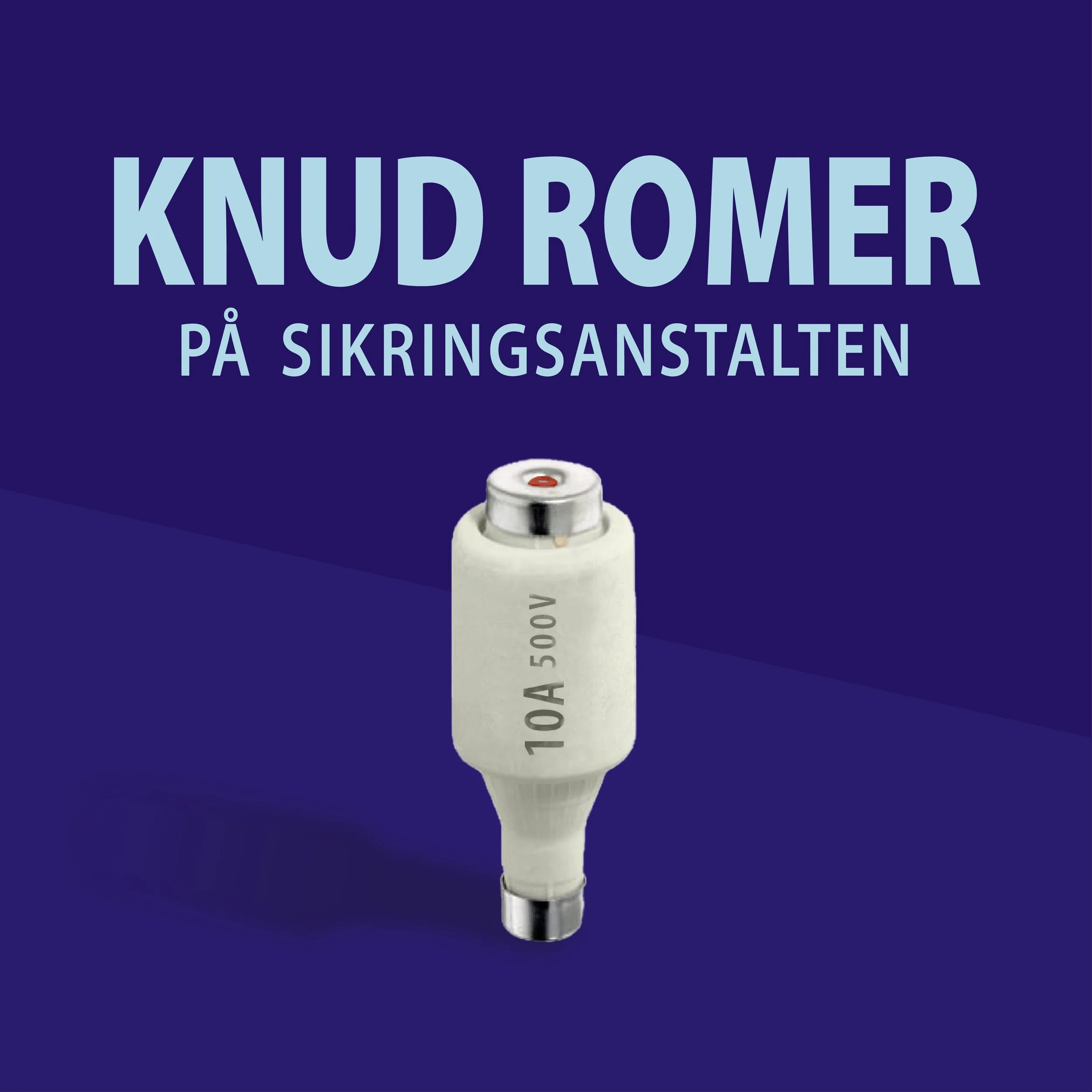 KnudRomerPaaSikringen.jpg