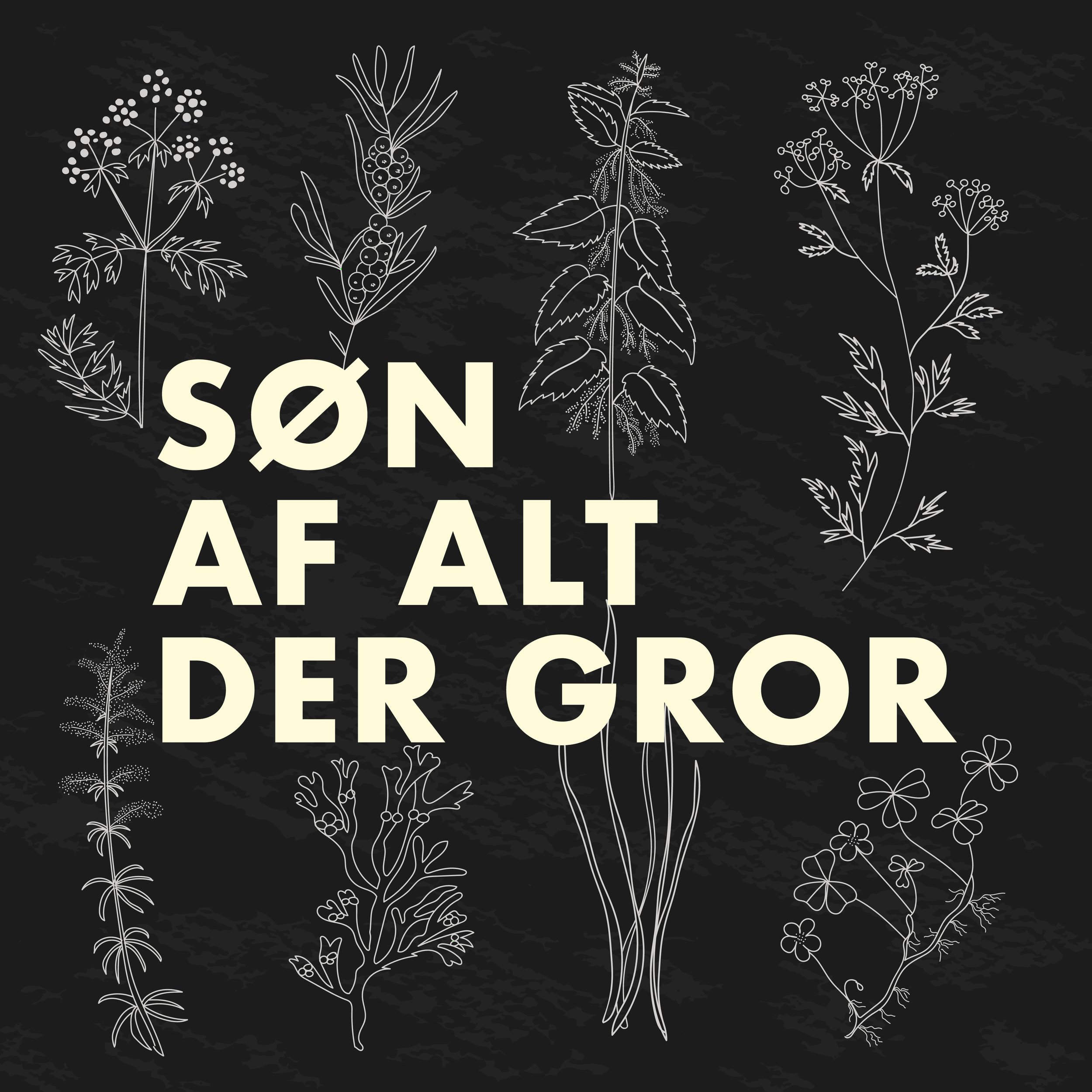 2048x2048_SønAfAltDerGror_Final-01.jpg