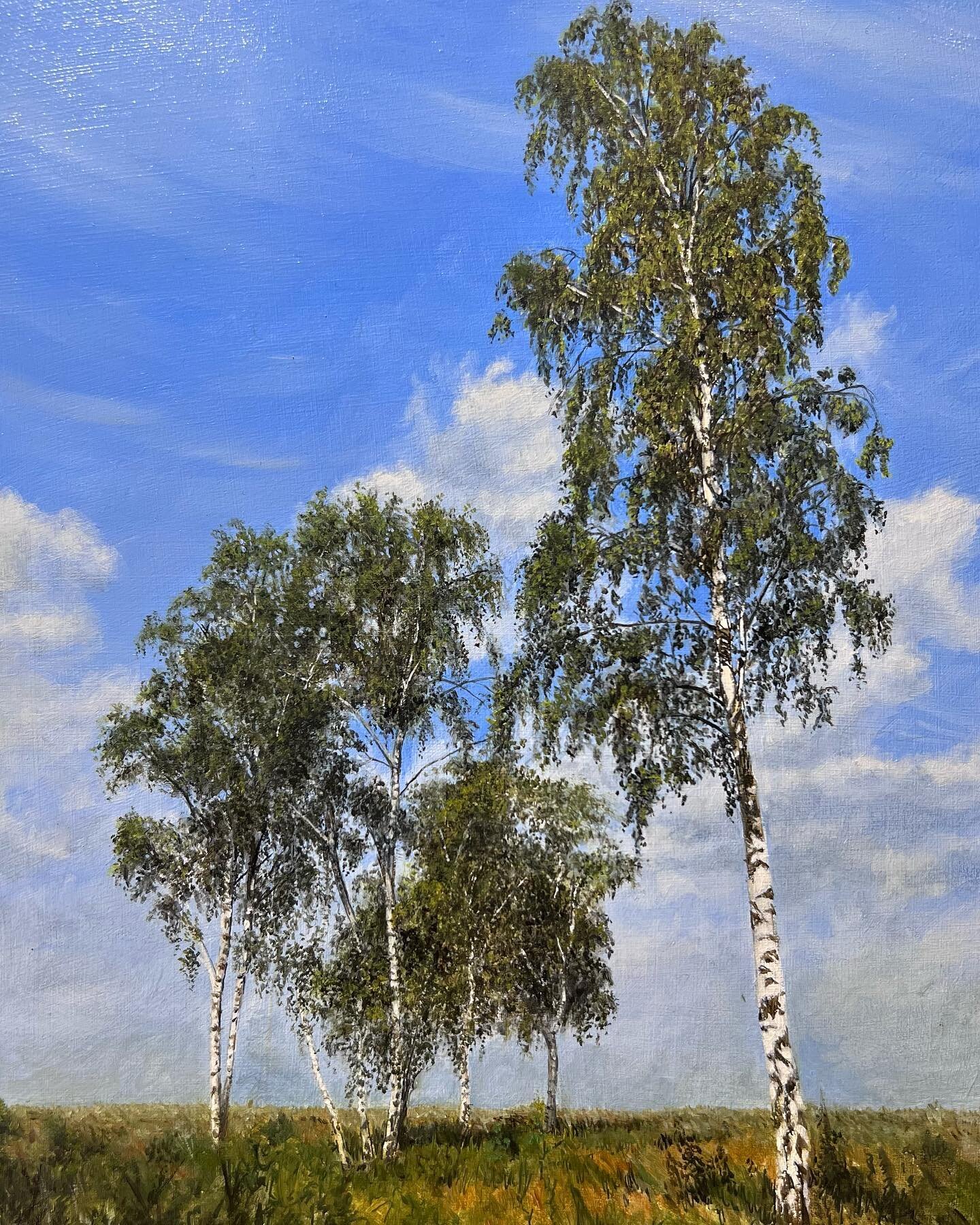 I keep forgetting about Instagram and social media! I am still around&hellip; honest! I&rsquo;ve been out and about painting and drawing&hellip; it&rsquo;s nice out and about at the mo. A little (10&rdquo;x8&rdquo;) study of birch trees (oil on panel