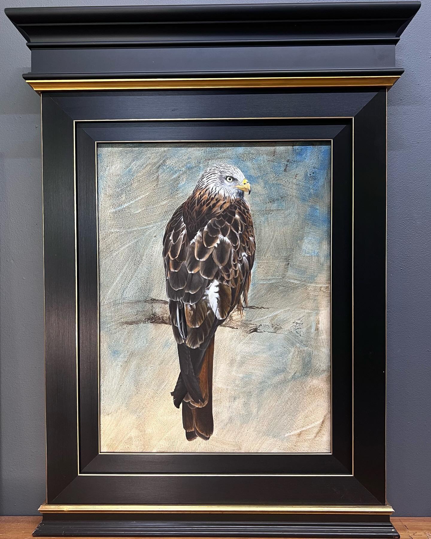 A bit of &ldquo;presentation experimentation&rdquo; in my workshop today! I&rsquo;ve had a frame like this in mind for a while, glad I&rsquo;ve finally done it and, it was good fun to play around with! Oooh&hellip;. The possibilities!!! #redkite #red