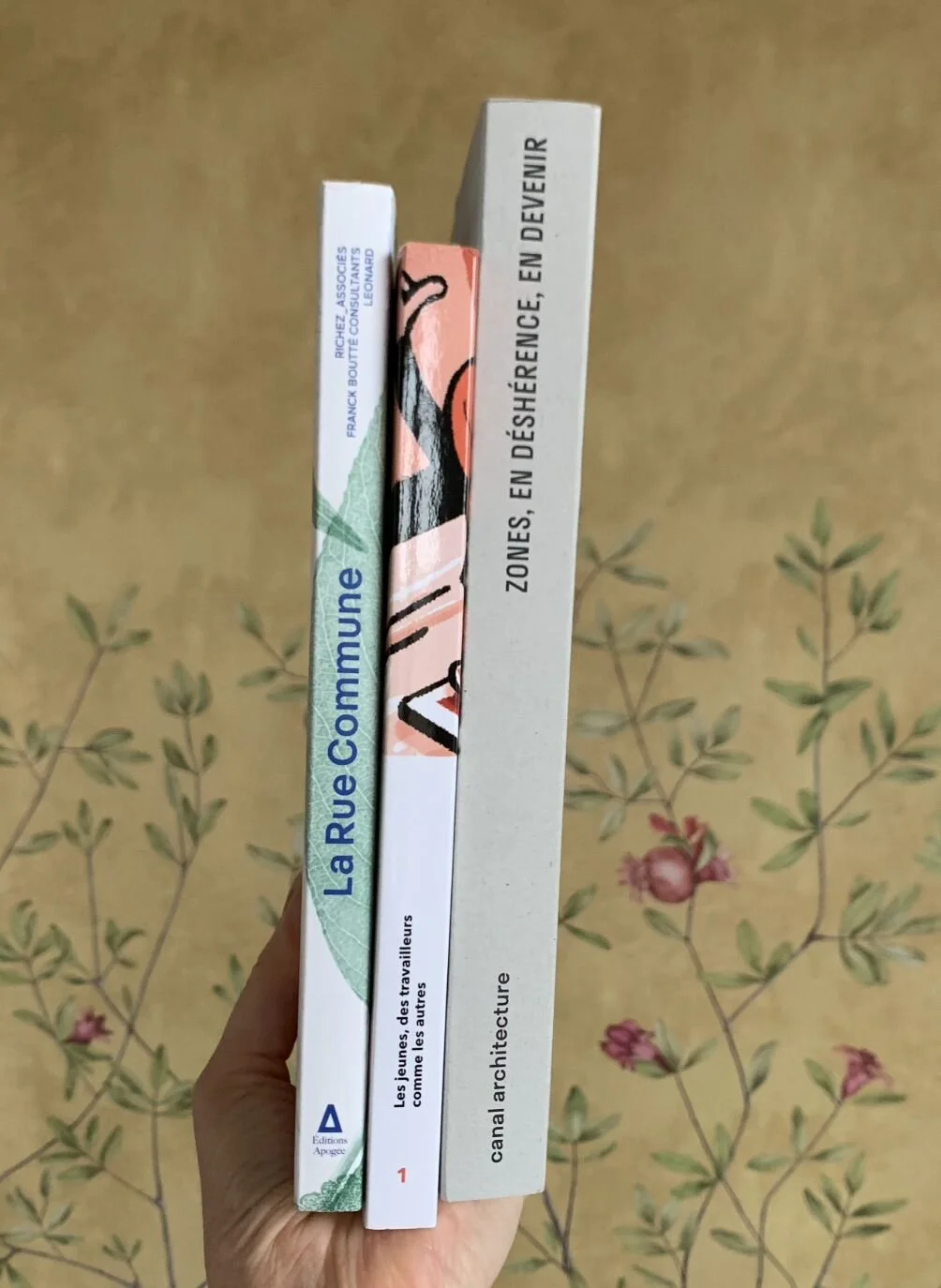 Jeunesse, rues, zones : quelques lectures du printemps 2024 !