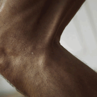 HORIZON FITNESS – HOME CHAMPS