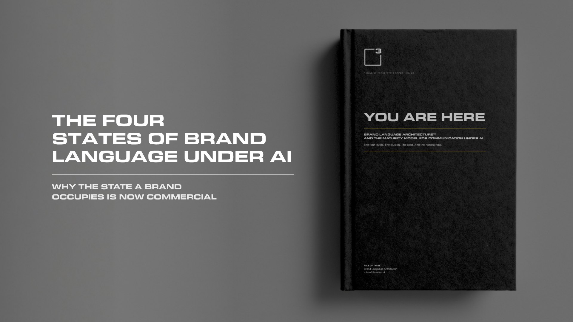 THE FOUR STATES OF BRAND LANGUAGE UNDER AI