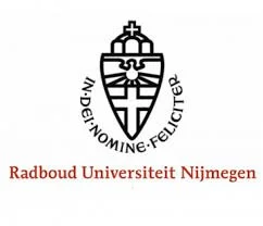 MSc Artificial Intelligence