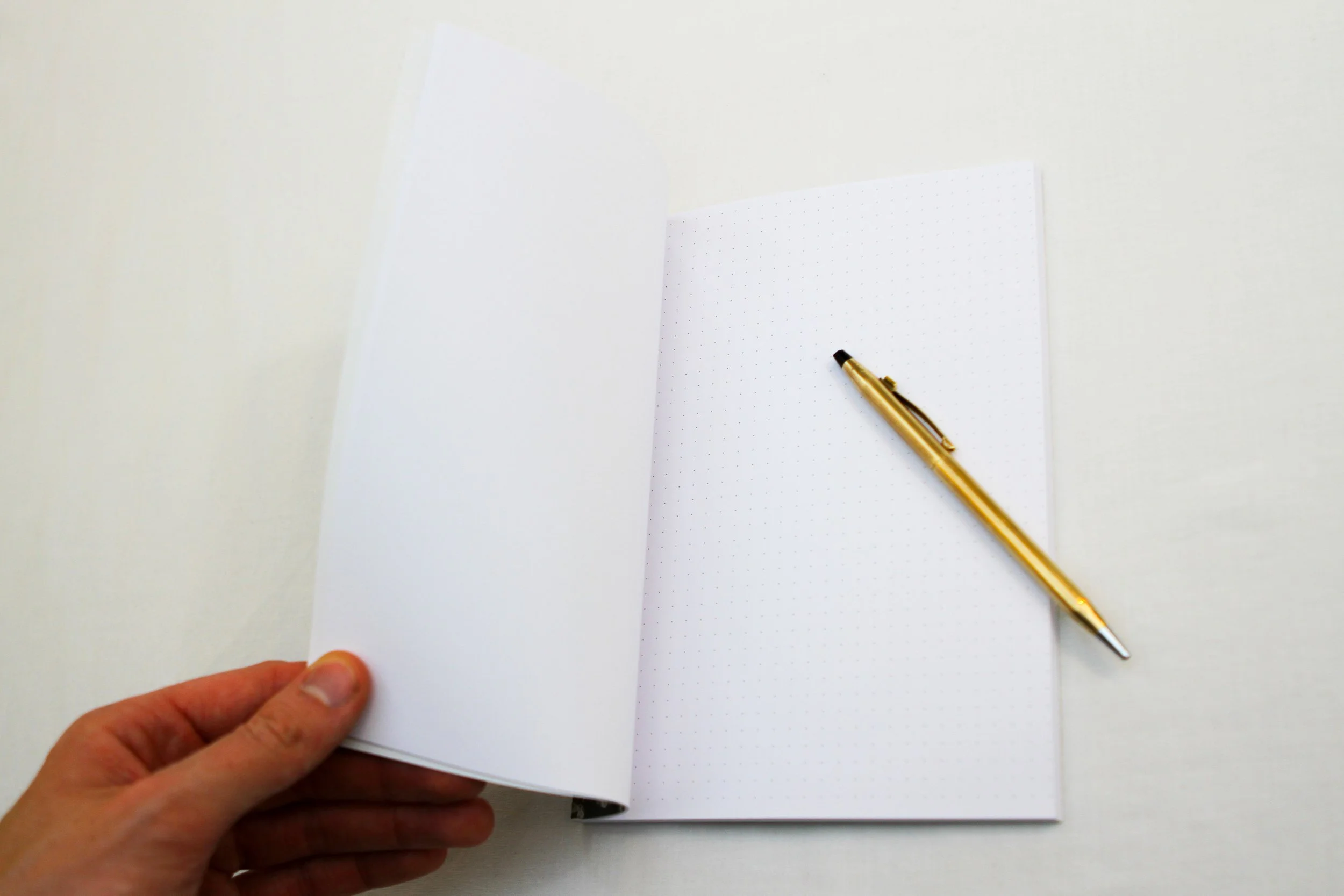 IMG_9341-2.jpg (Copy) (Copy) (Copy)