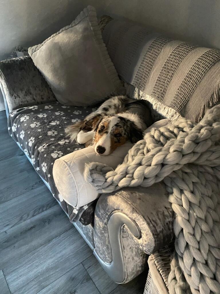 Ivy's story