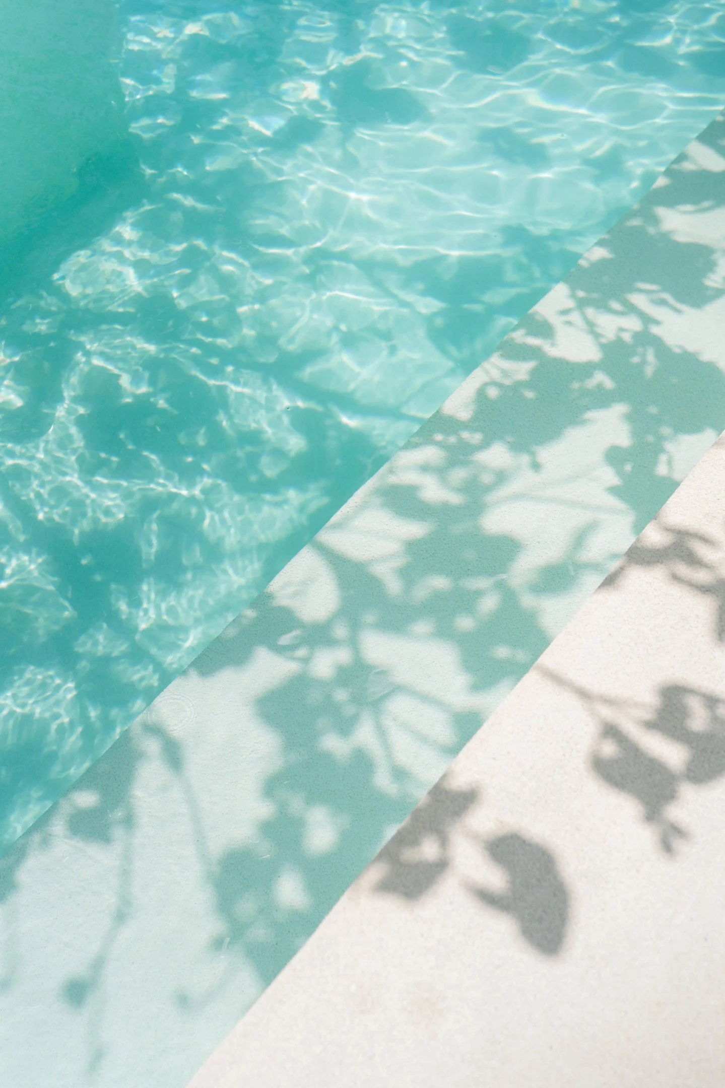 Some experiences aren&rsquo;t meant to be discovered by accident.

They&rsquo;re tucked behind unmarked paths. Down water canals.
Built for the curious.
Reserved for people who don&rsquo;t want what everyone else is doing.

This speakeasy palapa at R