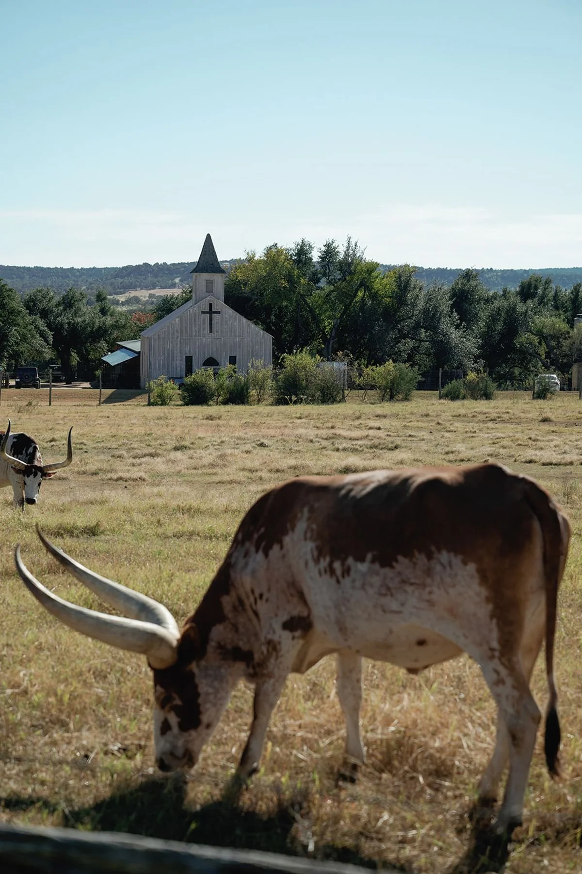Ranch wedding in Tuscany for wedding planners for italy and cattle by destination wedding planners epoch co