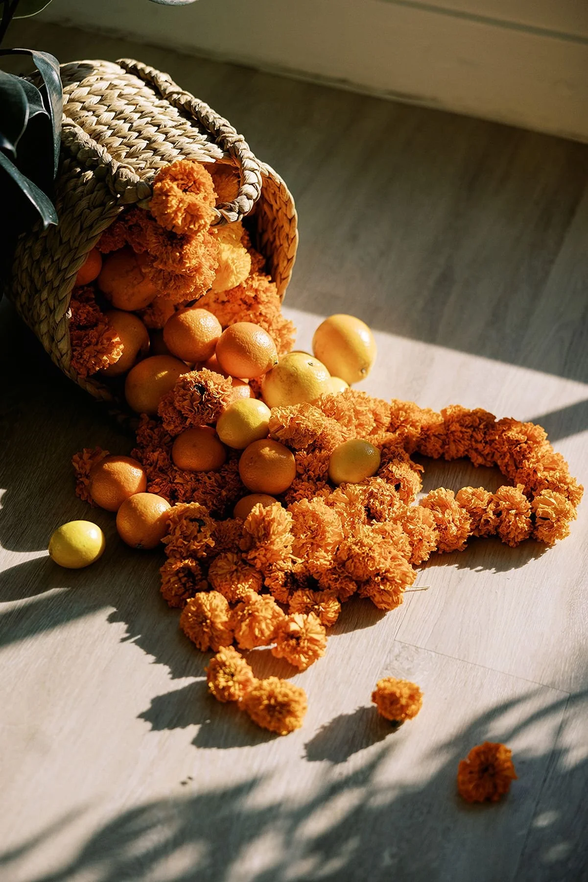 Warm lighting streaming across oranges and strands of marigolds pouring out of a woven basket for Hindu fusion wedding by wedding planners wedding planners