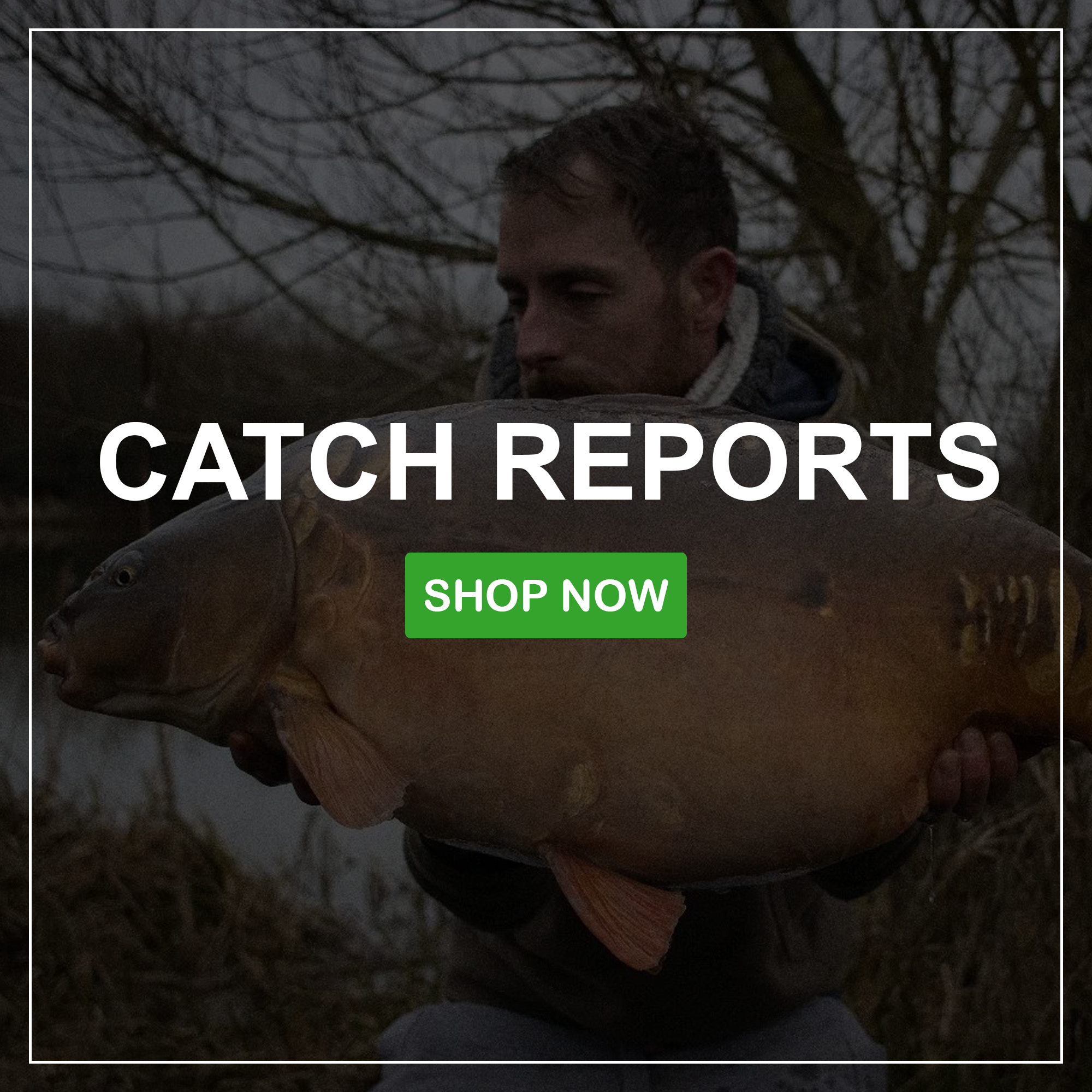 CATCH REPORTS.png