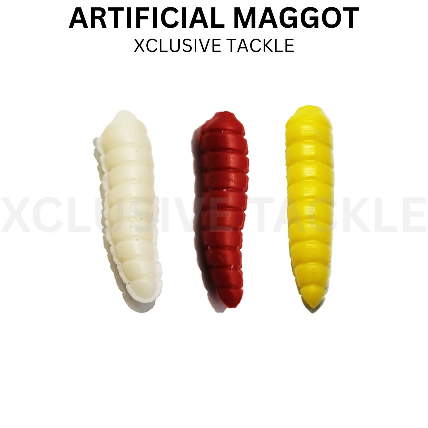 Maggots