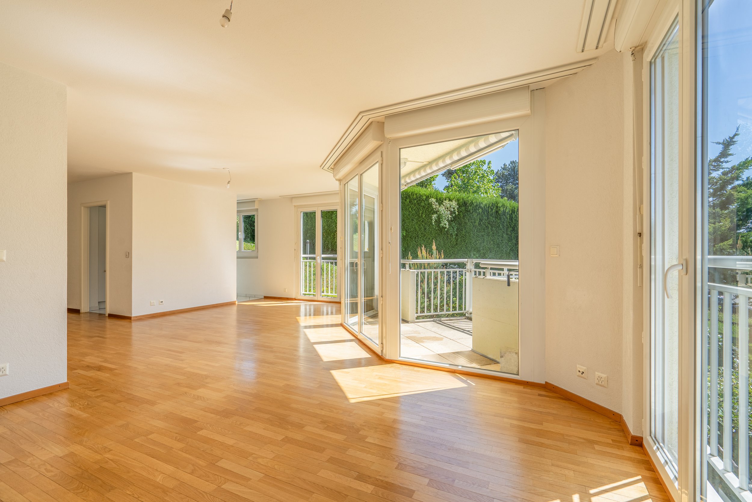 Arnier-3.jpg