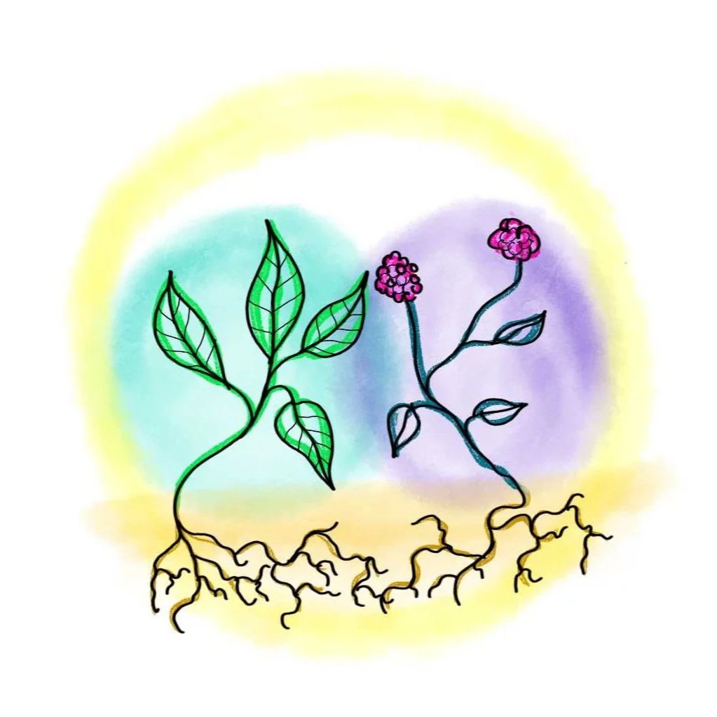 Handgezeichnetes Bild von zwei Pflanzen, die aus dem Boden wachsen, mit grünen Blättern und pinken Blüten, umgeben von einem gelb-blauen Farbverlauf.»