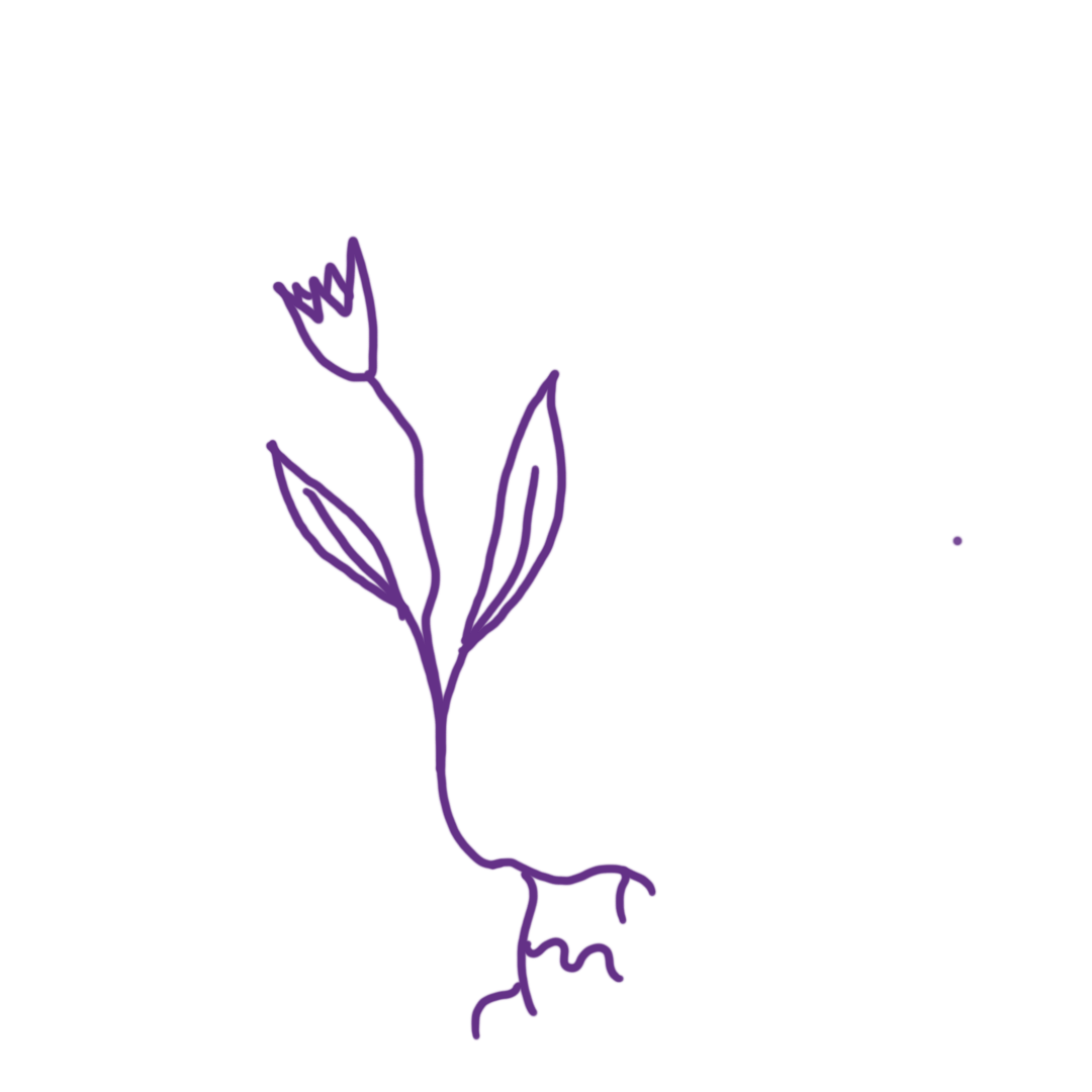 Handgezeichnete Illustration einer Pflanze mit Blume, Blättern und Wurzeln in lila.