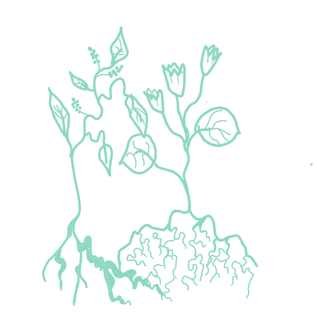 Handgezeichnetes Bild von zwei unterschiedlichen Pflanzen mit Wurzeln, Blättern und Blüten