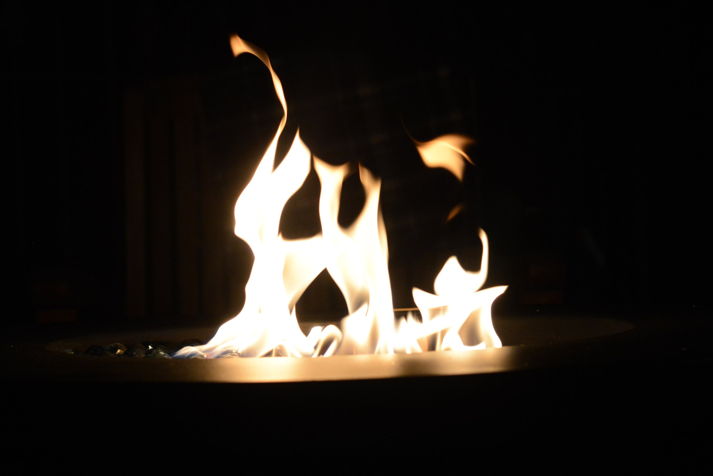 DSC_3534.jpg