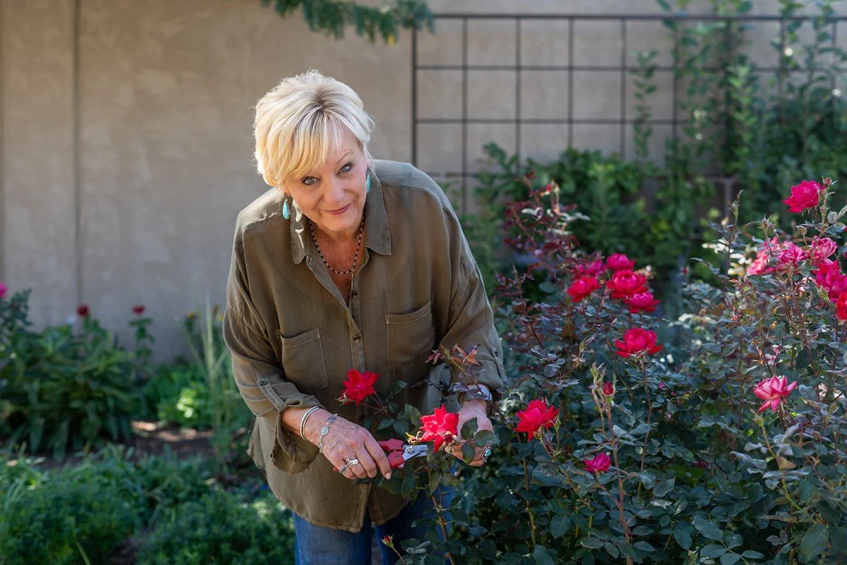 Older woman pruning pink roses in her garden.