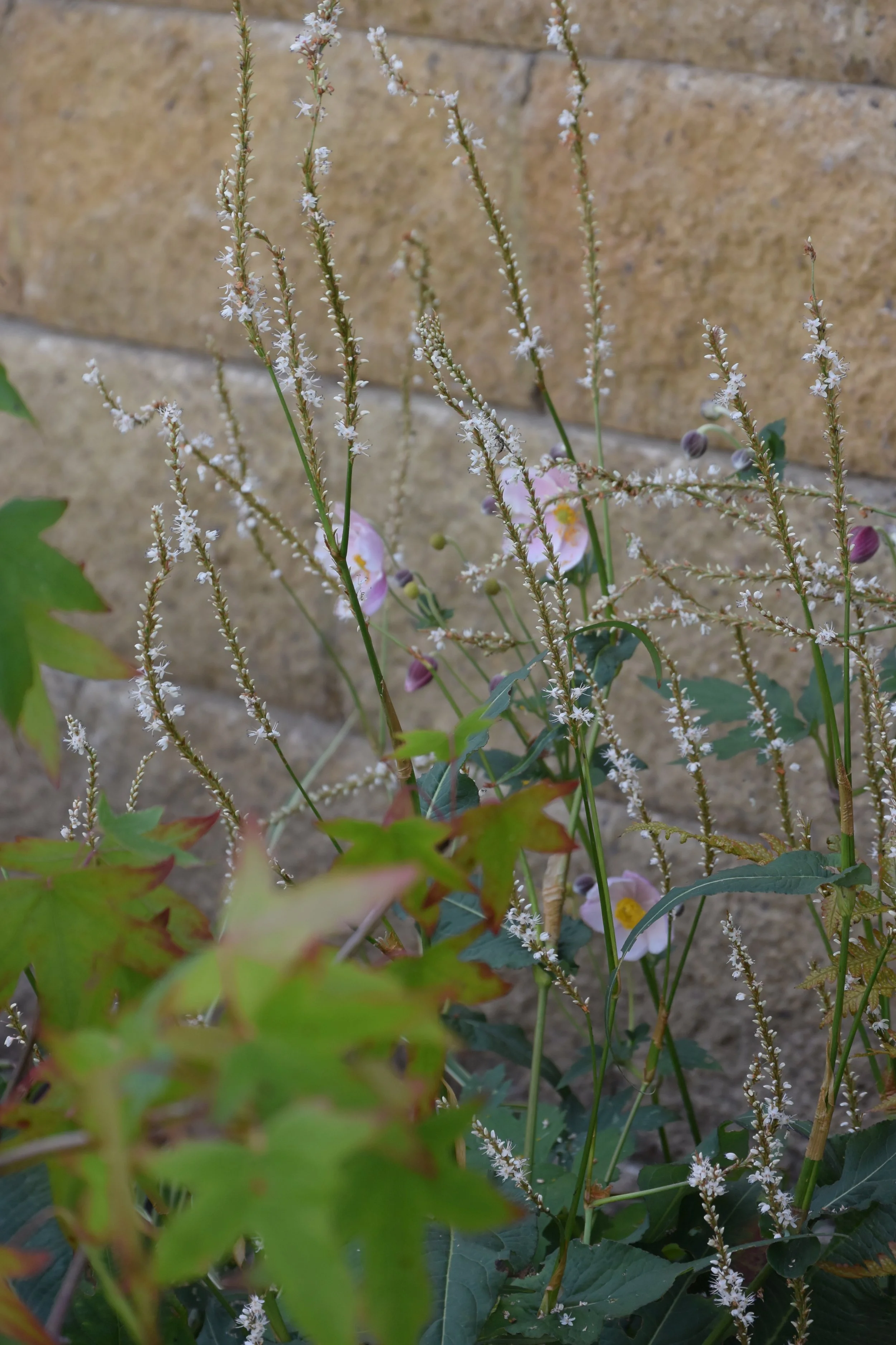 seasonal change