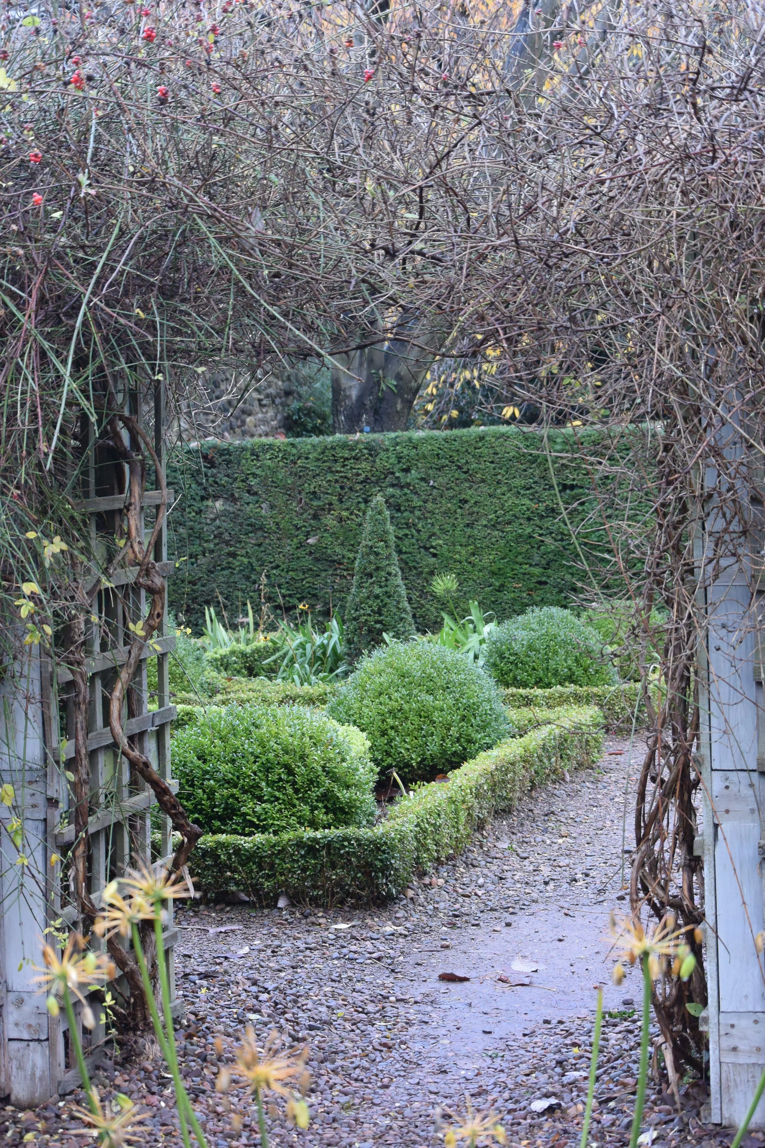 structure in a winter garden