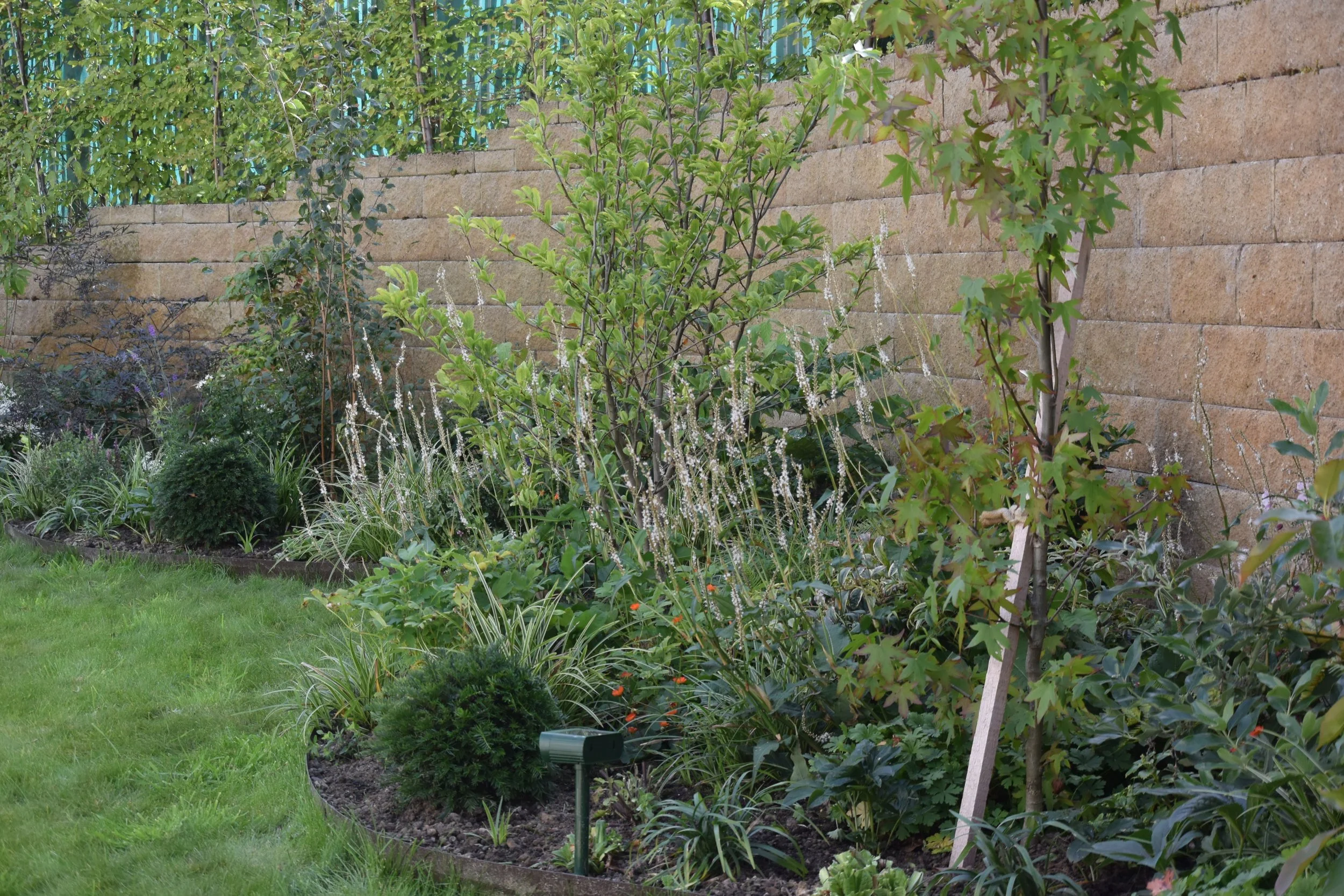 herbaceous border, perennial garden border, planting, trees, shrubs