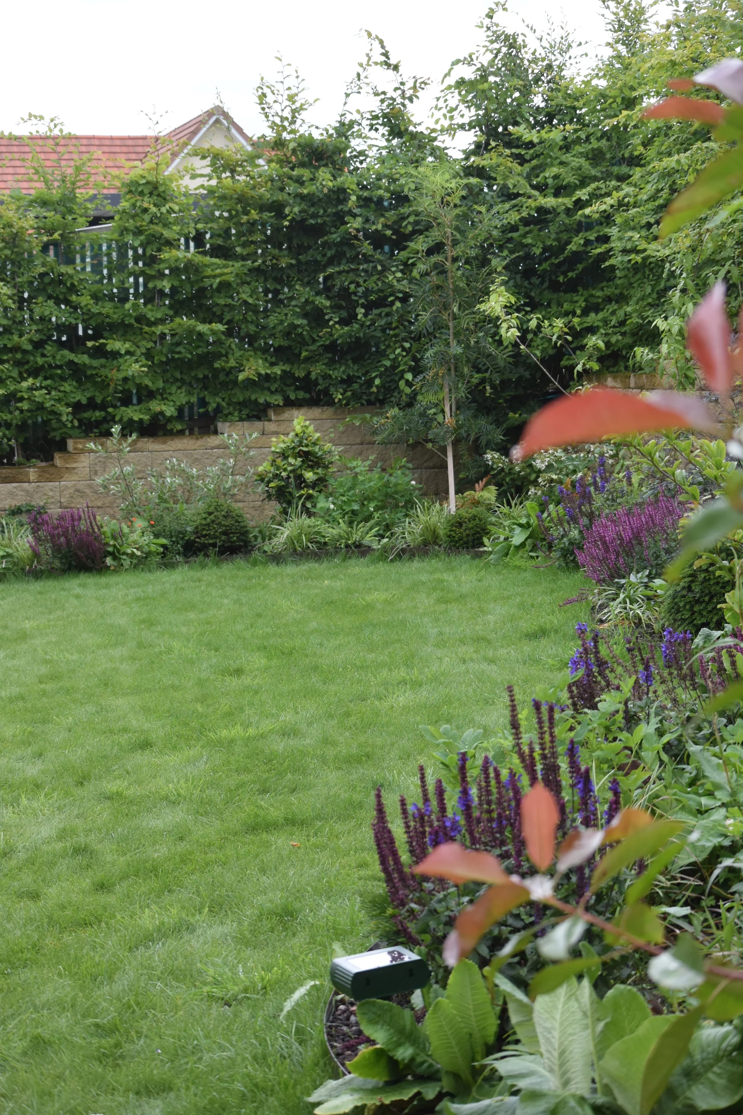 perennial border, garden border, perennial plants, planting, garden