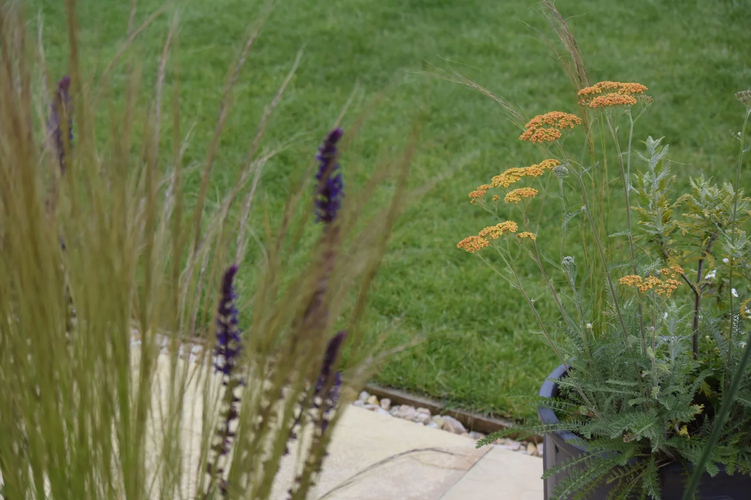 Plant Pot Design Ideas — Hastate Design