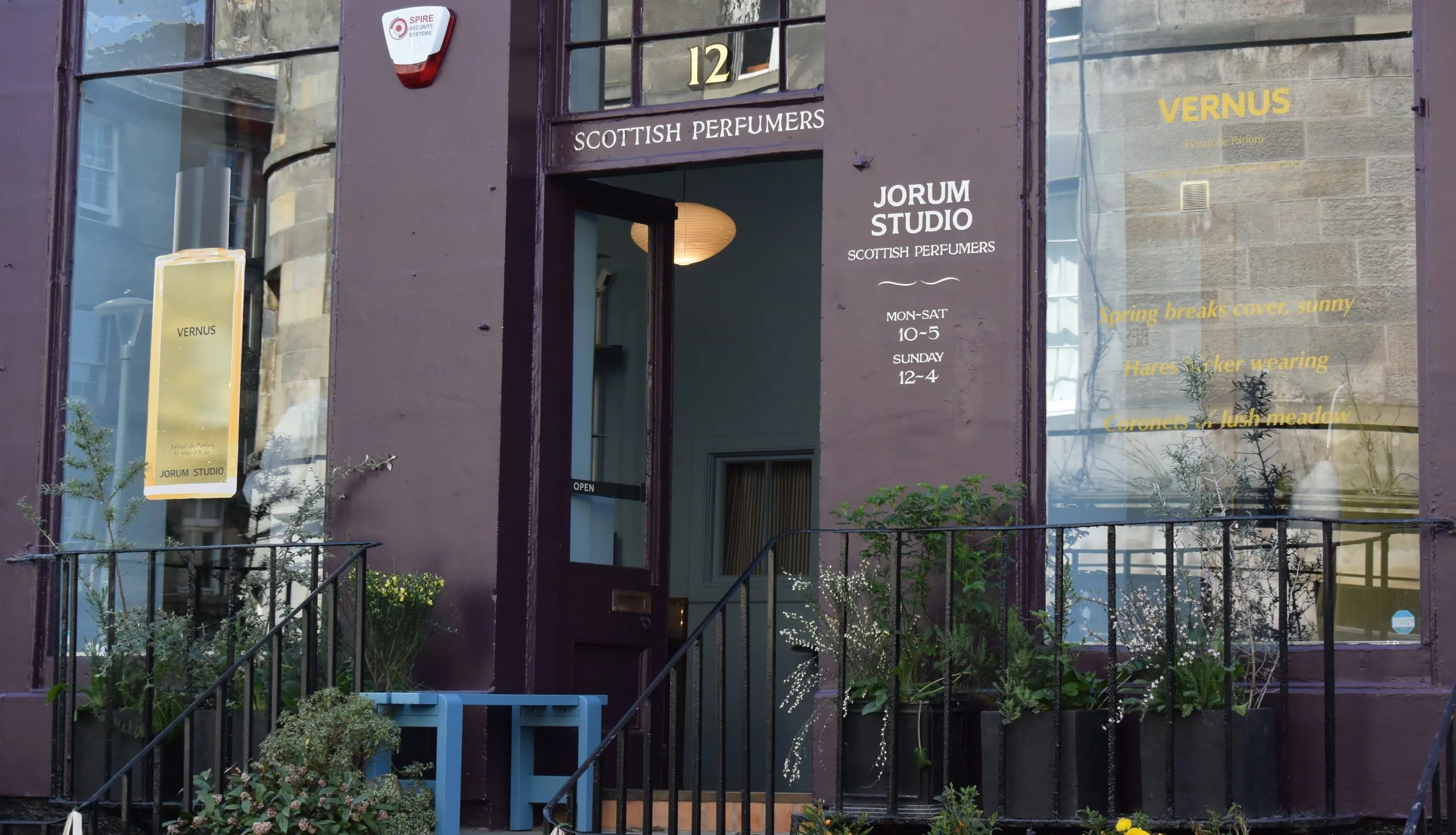 Jorum Studio planting, planters