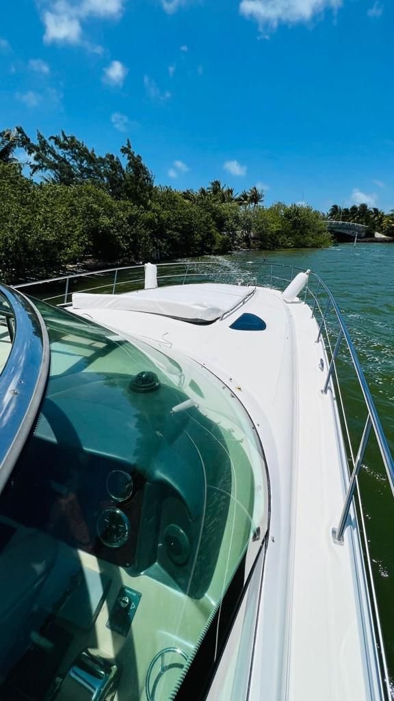 WhatsApp Image 2024-10-09 at 17.19.46 (1).jpeg