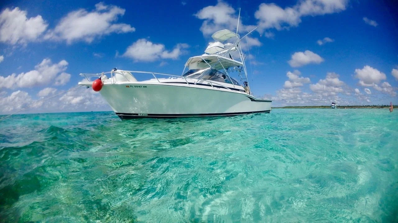 WhatsApp Image 2018-01-02 at 4.05.52 PM (1).jpeg