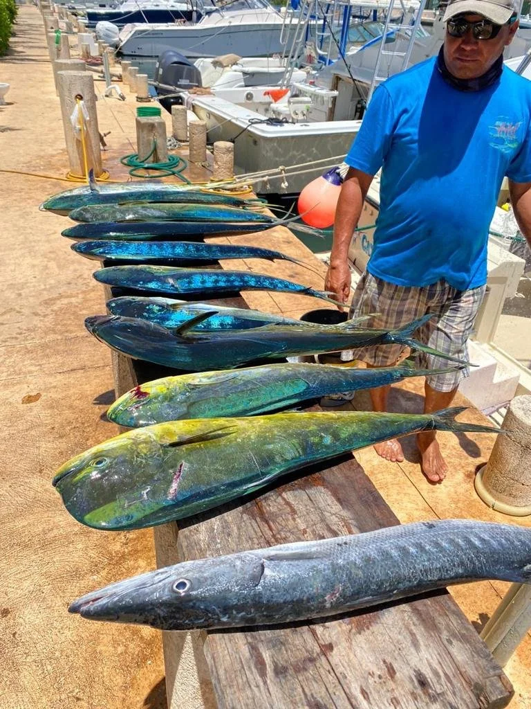 WhatsApp Image 2021-10-29 at 11.45.08 AM.jpeg