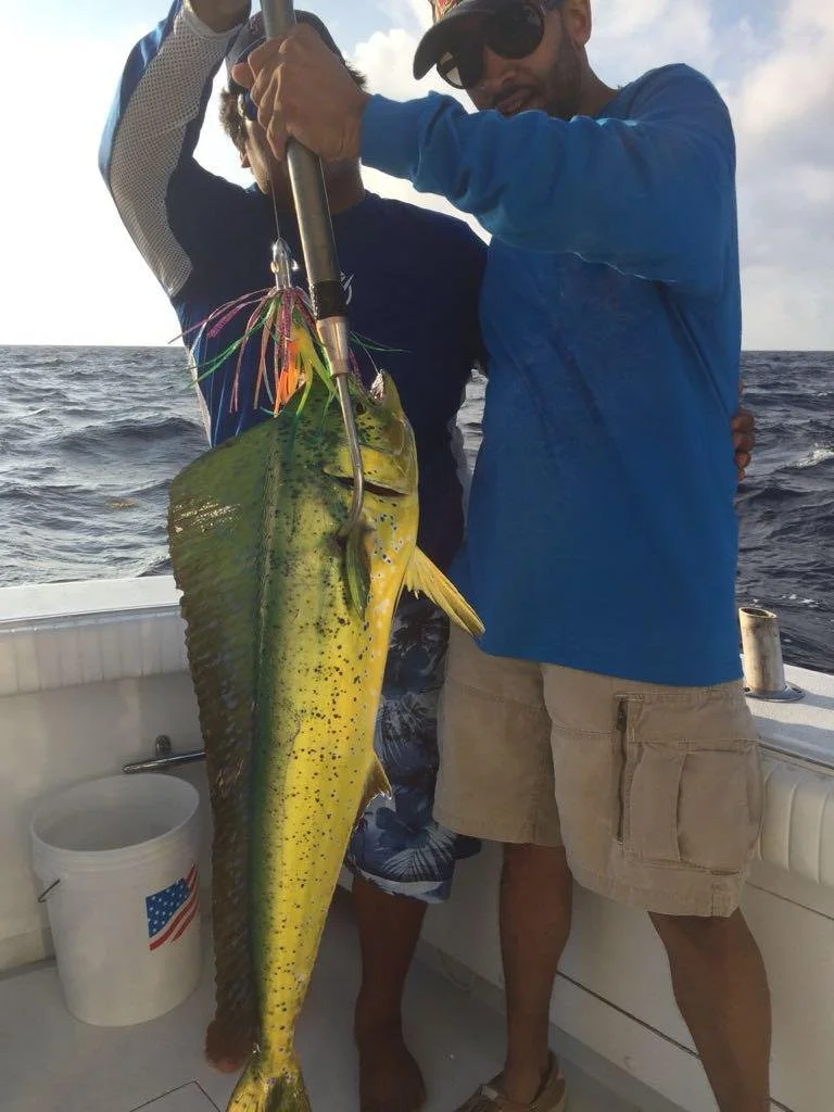 WhatsApp Image 2021-10-29 at 11.41.55 AM (2).jpeg