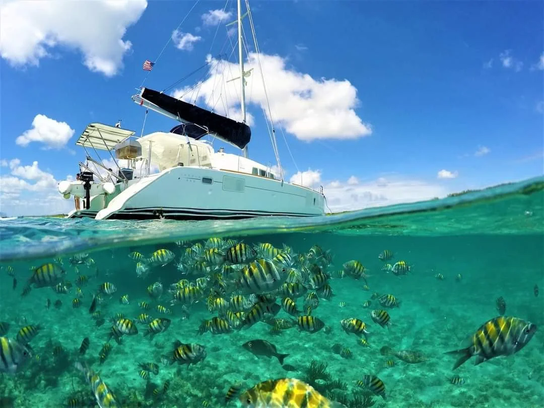 WhatsApp Image 2021-10-28 at 10.58.58 AM (5).jpeg