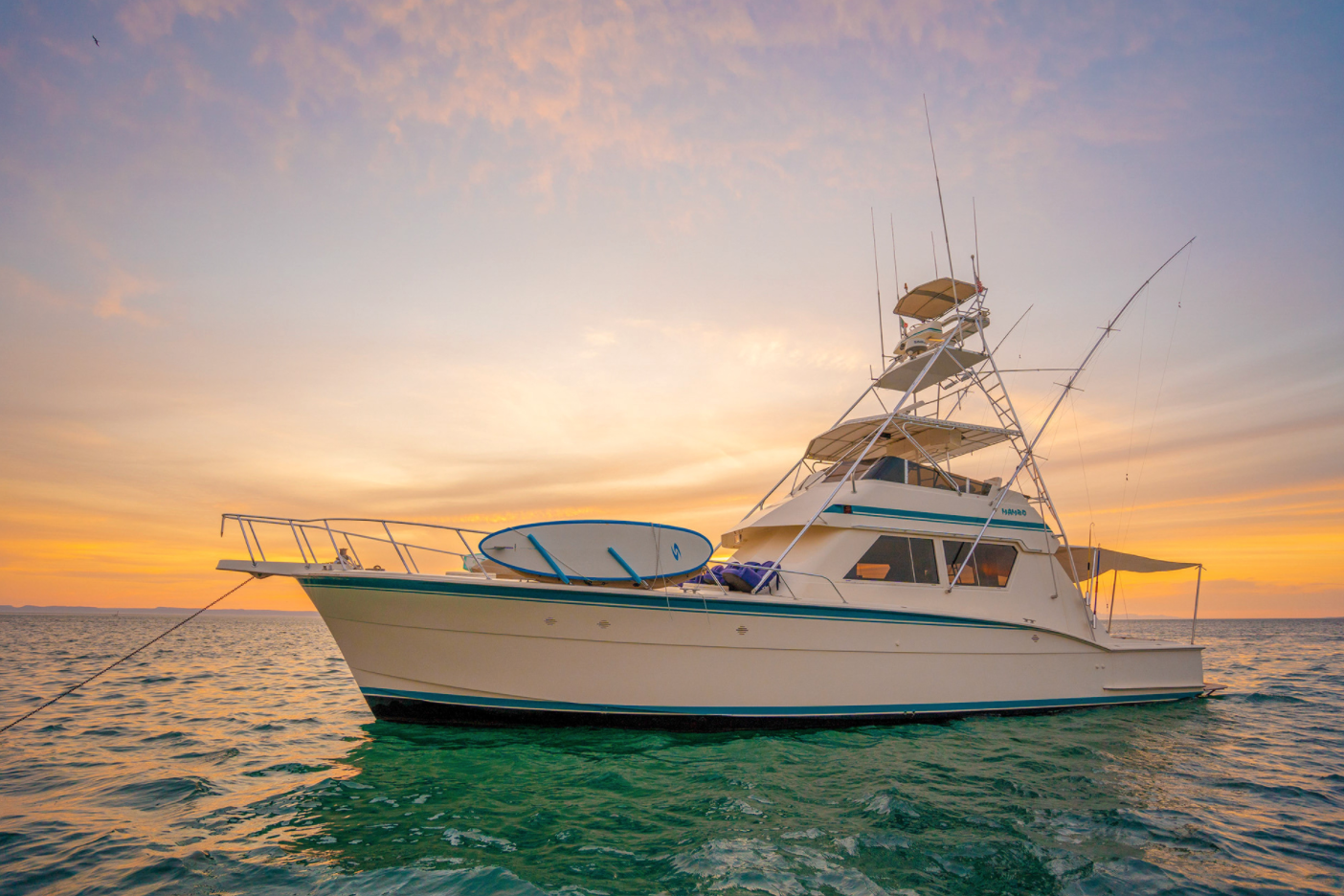 Screen Shot 2021-11-05 at 5.43.06 PM.png